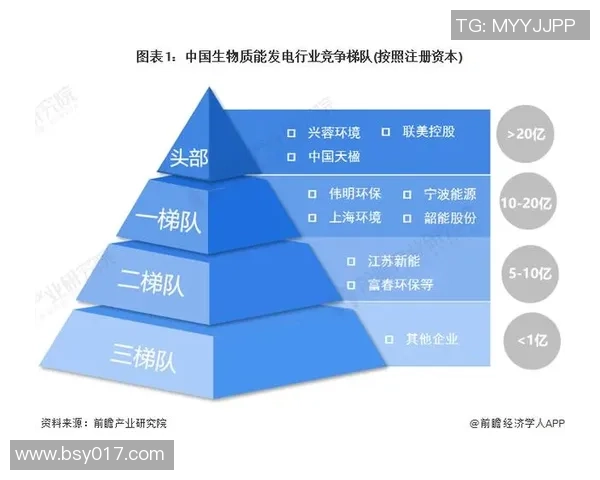 数据分析揭示IG个人能力表现的深度洞察与发展潜力